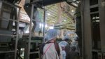 2017年5月6日‗親子で松野のお茶工場見学へ行こう！