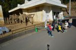 2018年12月28日飼育員に聞く！動物園のしごと