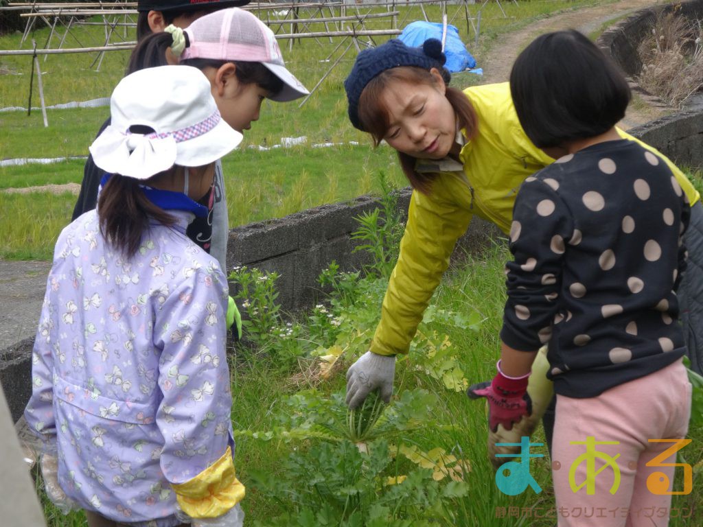 2019年12月26日_冬の里山で大根収穫＆旬の味体験