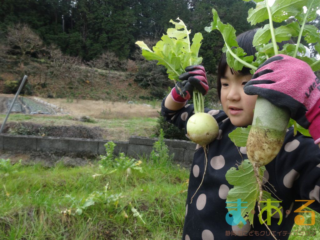 2019年12月26日_冬の里山で大根収穫＆旬の味体験