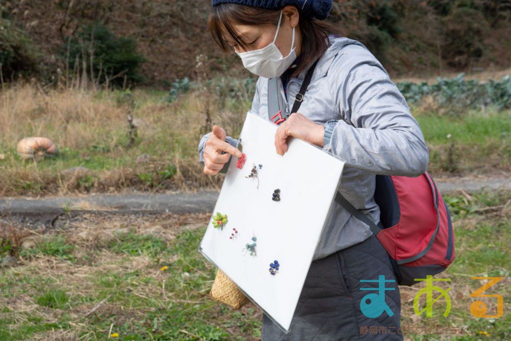 2020年12月19日_冬の里山で冬野菜の収穫体験と木の実でオーナメント作り