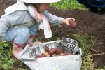 2021年7月6日_ちびっこ野遊び会　里山の小川や畑で生き物とふれあおう♪