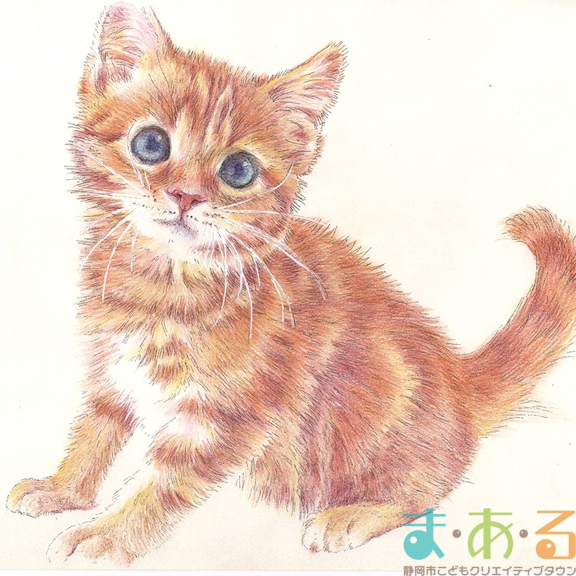イラストオーダー受付 動物 色鉛筆 色鉛筆画入門 - 静岡市こどもクリエイティブタウンま・あ・る