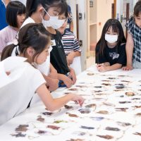 2024年6月15日_動物看護士と動物園のお仕事　動物の細胞の観察と環境について学ぼう！