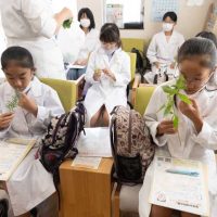 2024年8月11日_調剤薬局で薬剤師体験!