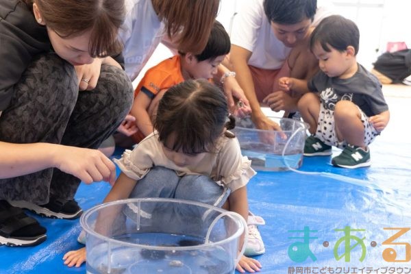 2024年9月17日_さわってみよう海の生き物