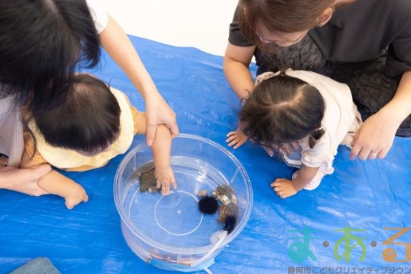 2024年9月17日_さわってみよう海の生き物