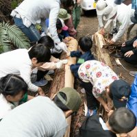 2024年11月4日_森林体験ツアーに行こう!