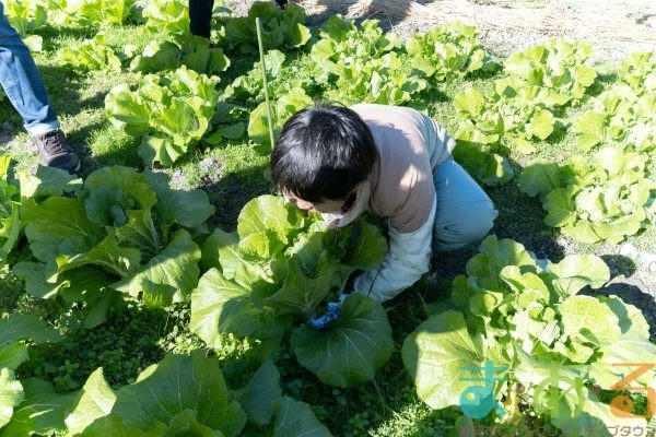 2024年12月14日_冬の里山で収穫体験とクラフト