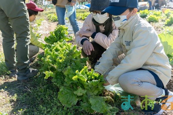 2024年12月14日_冬の里山で収穫体験とクラフト