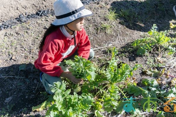 2024年12月14日_冬の里山で収穫体験とクラフト