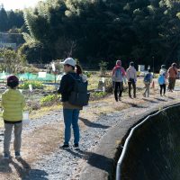 2024年12月14日_冬の里山で収穫体験とクラフト