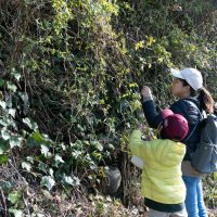 2024年12月14日_冬の里山で収穫体験とクラフト