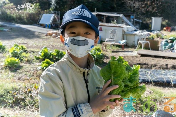 2024年12月14日_冬の里山で収穫体験とクラフト