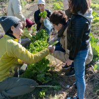 2024年12月14日_冬の里山で収穫体験とクラフト