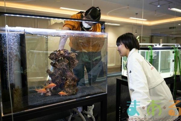 2025年1月19日_動物園と水族館のお仕事体験