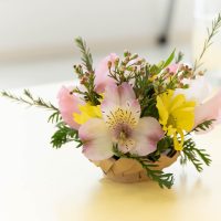 2025年1月20日_はじめてのお花教室