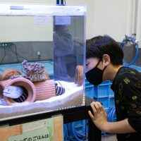 2025年1月19日_動物園と水族館のお仕事体験