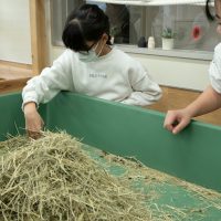 2025年1月19日_動物園と水族館のお仕事体験