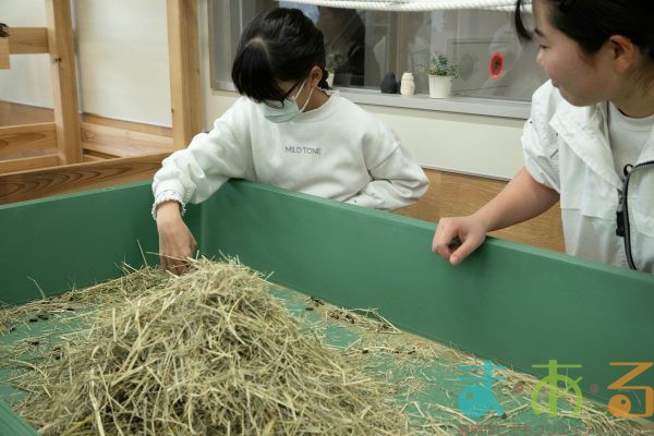 2025年1月19日_動物園と水族館のお仕事体験