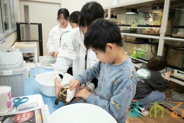 2025年1月19日_動物園と水族館のお仕事体験