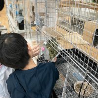 2025年1月19日_動物園と水族館のお仕事体験