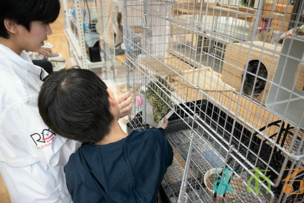 2025年1月19日_動物園と水族館のお仕事体験