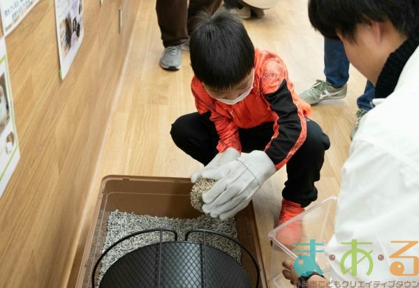 2025年1月19日_動物園と水族館のお仕事体験