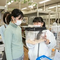 2025年1月19日_動物園と水族館のお仕事体験