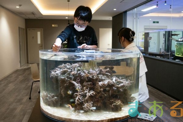 2025年1月19日_動物園と水族館のお仕事体験