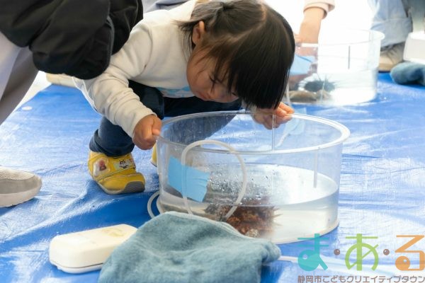 2025年2月18日_さわってみよう海の生き物