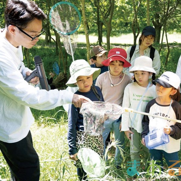 2025年5月31日_春の野山で昆虫探し！