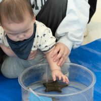 2025年2月18日_さわってみよう海の生き物