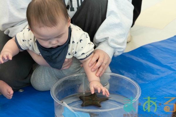 2025年2月18日_さわってみよう海の生き物