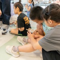 2025年5月18日_けん玉チャレンジ！_