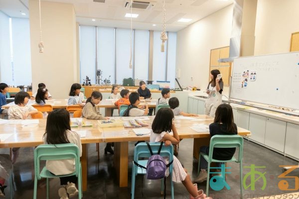 2025年5月17日_保育士のおしごと_