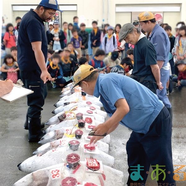 2025海のお仕事体験プロジェクト③競り