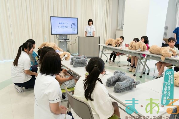 2025年6月8日_動物看護師のお仕事_