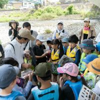 2025年6月1日_興津川で鮎の放流体験_