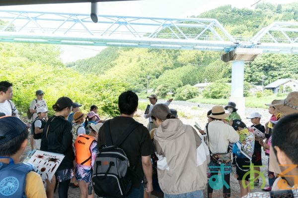 2025年6月1日_興津川で鮎の放流体験_