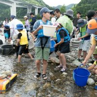 2025年6月1日_興津川で鮎の放流体験_