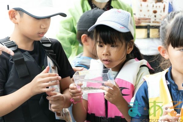 2025年6月1日_興津川で鮎の放流体験_