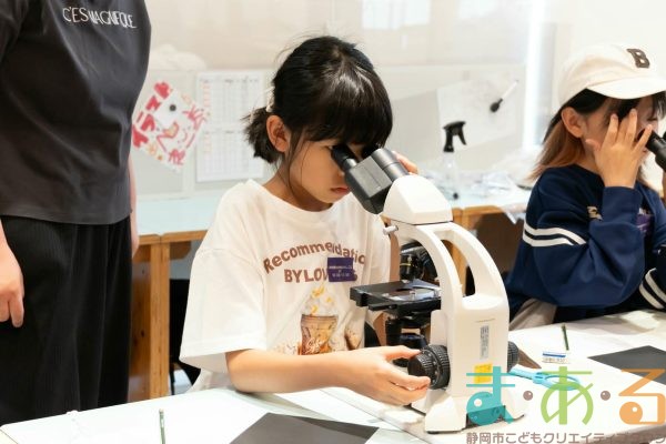 2025年6月15日_動物園水族館のお仕事