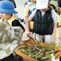 2025年6月1日_興津川で鮎の放流体験_