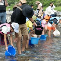 2025年6月1日_興津川で鮎の放流体験_