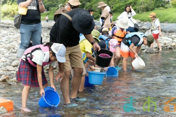 2025年6月1日_興津川で鮎の放流体験_