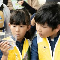 2025年6月1日_興津川で鮎の放流体験_