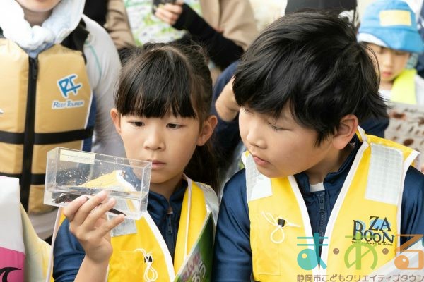 2025年6月1日_興津川で鮎の放流体験_