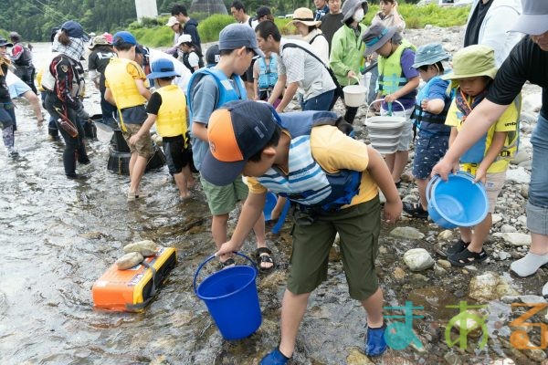 2025年6月1日_興津川で鮎の放流体験_