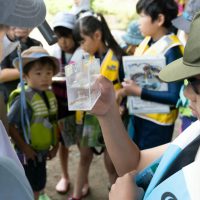 2025年6月1日_興津川で鮎の放流体験_